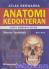 Atlas Berwarna Anatomi Kedokteran: Latin Nomenclature (Buku 1 & 2)